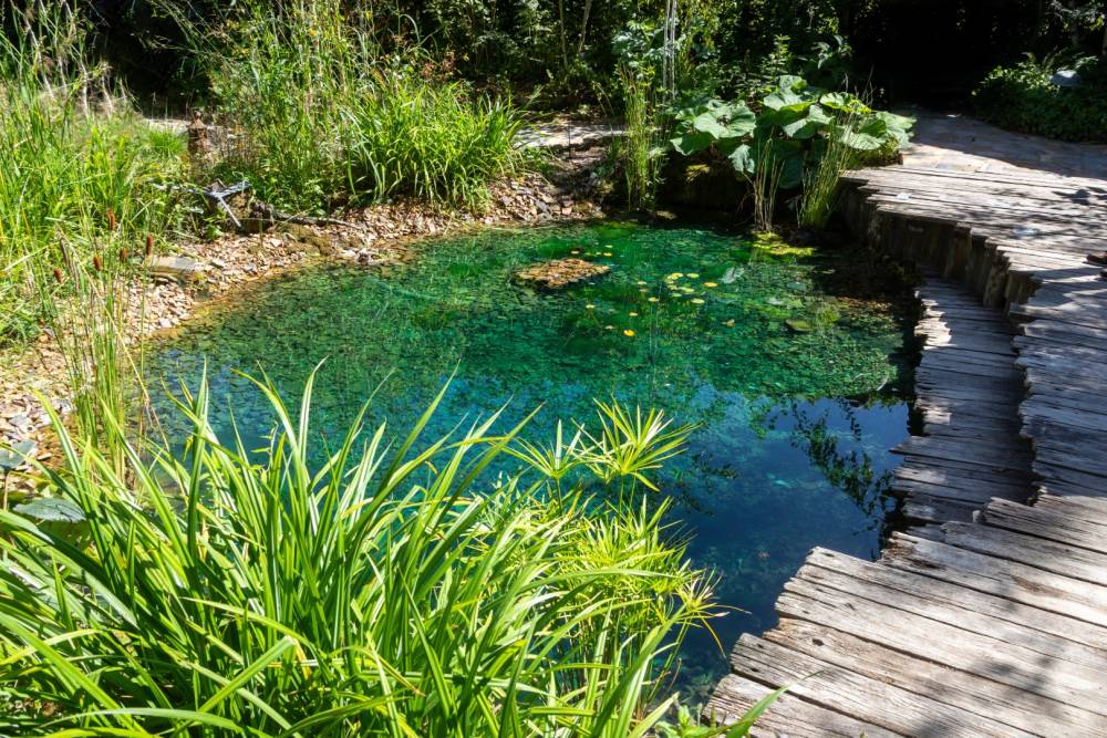 Création de jardin 1
