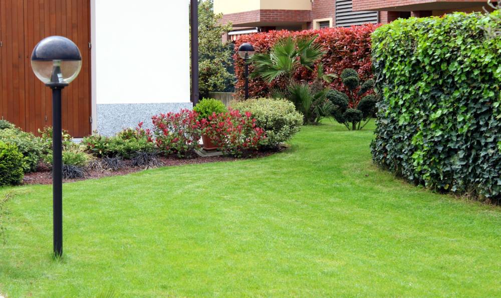 Aménagement de jardin 2